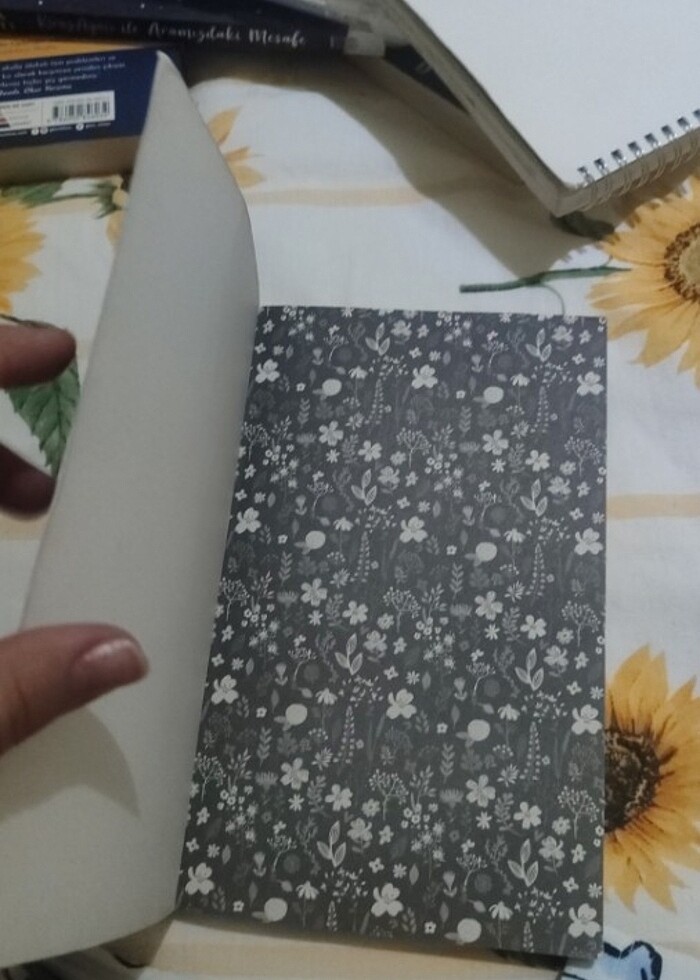 Mavi'nin kızı Emily okuma kitabı - Görsel 4