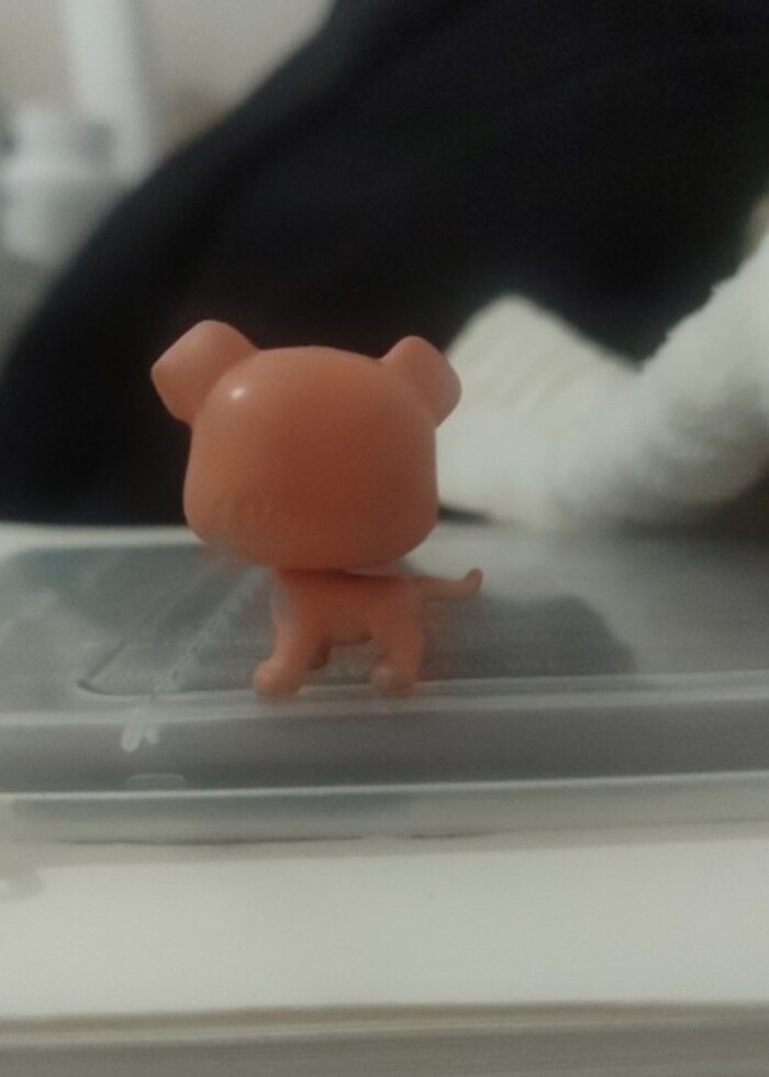 Lps miniş - Görsel 2