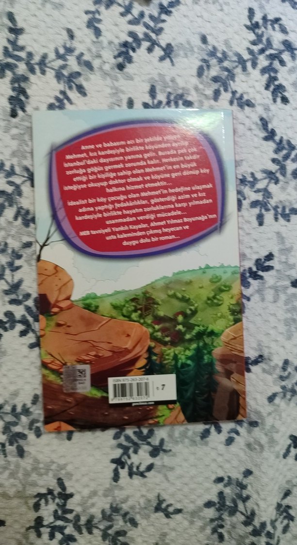 Yankılı Kayalar - Ahmet Yılmaz Boyunağa - Görsel 2