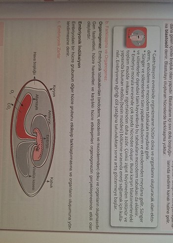 Biyoloji Özet Kitap - Konu Özetleri ve Testler