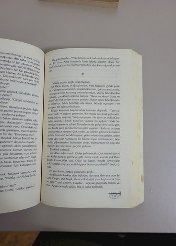 Beden Renk Fakir Baykurt - Kaplumbağalar Romanı