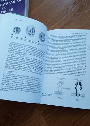 Genel Histoloji Kitabı - Onuncu Baskı