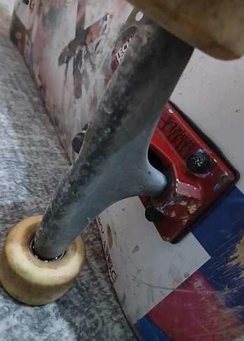 Complete - Görsel 2