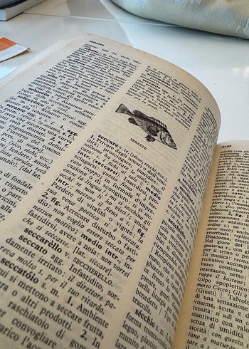 LE MONNIER İTALYANCA SÖZLÜK - Görsel 6