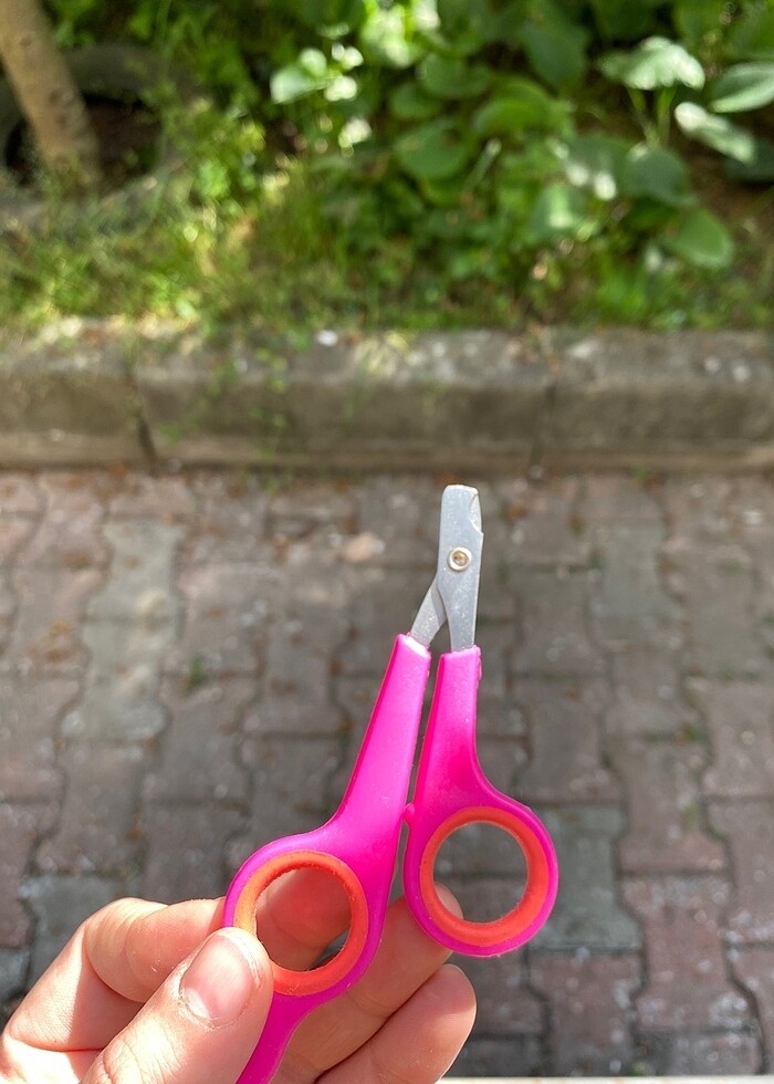 Pembe tırnak makası - Görsel 2