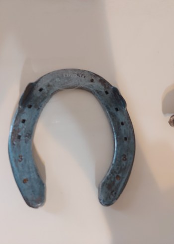 Gri At Nalı dekoratif - Görsel 2