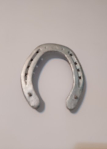 Gri At Nalı dekoratif - Görsel 4