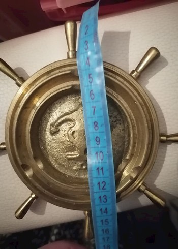 pirinç Parlak Deniz Dümeni - Görsel 5