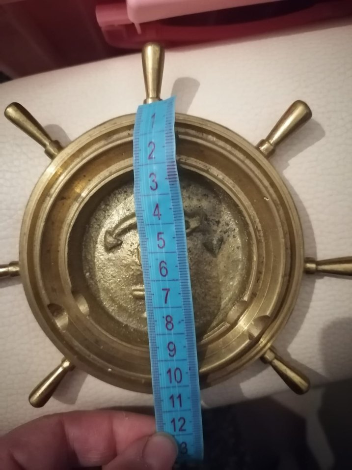 pirinç Parlak Deniz Dümeni - Görsel 3