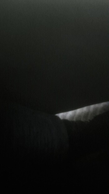 Şekerlik - Görsel 5