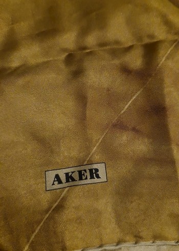 Kadın Çok Renkli İpek Şal - Görsel 2