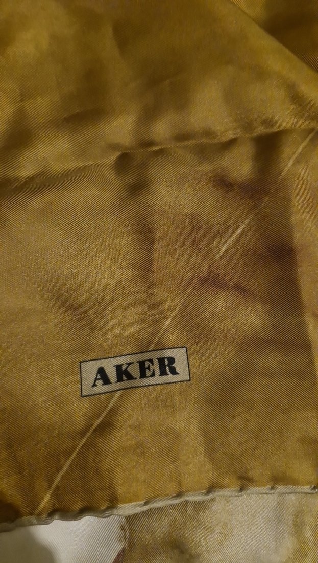 Kadın Çok Renkli İpek Şal - Görsel 2