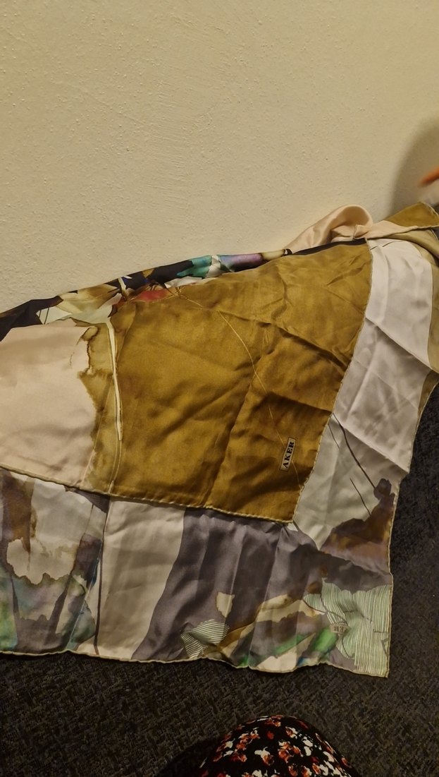 Kadın Çok Renkli İpek Şal - Görsel 3