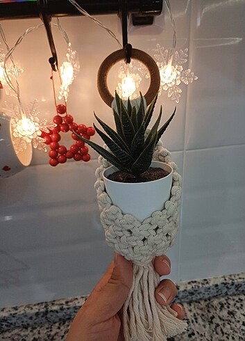 Diğer Askılı Çiçeklik (çiçek dahil değil))