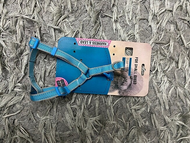 Köpek tasması