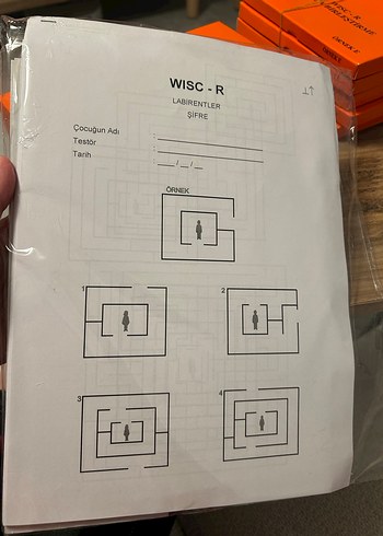 Beden Renk Wechsler Çocuklar için Zekâ Ölçeği (WISC-R) Eğitim Materyalleri