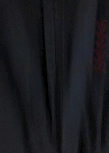 Polo gömlek - Görsel 2