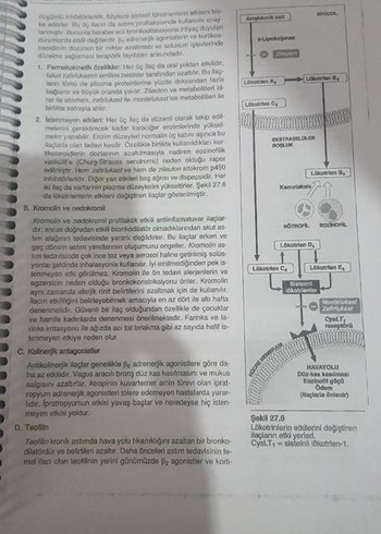 Beden Lippincott's Farmakoloji Kitabi fotokopisi
