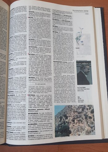 Beden Büyük Larousse Sözlük ve Ansiklopedisi
