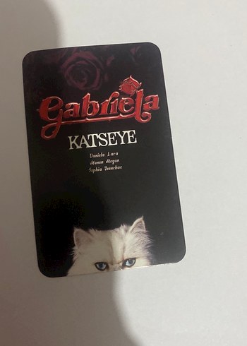 Katsey pc yanına hediye koyulur - Görsel 2