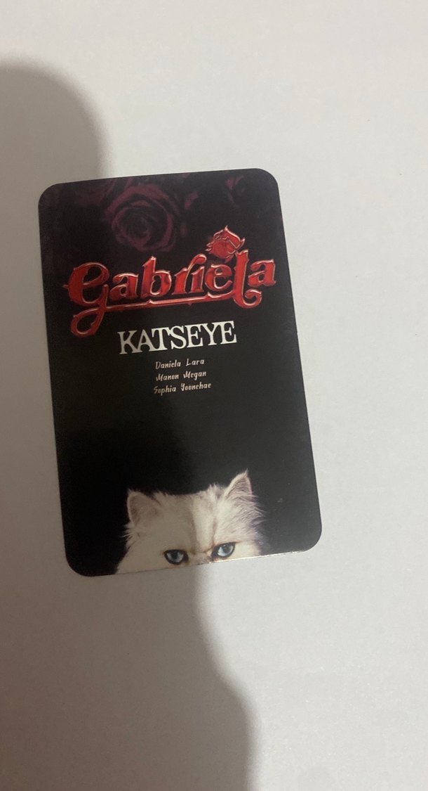 Katsey pc yanına hediye koyulur - Görsel 2