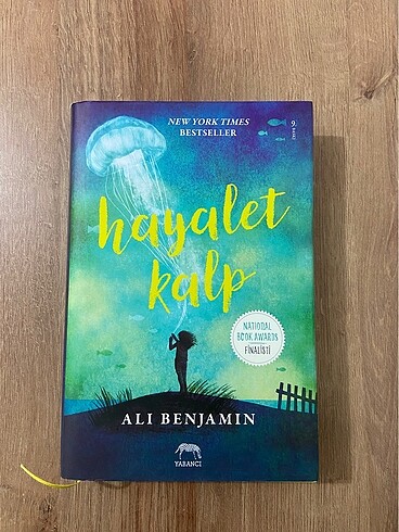 Alı Benjamin-Hayalet kalp (ciltli)