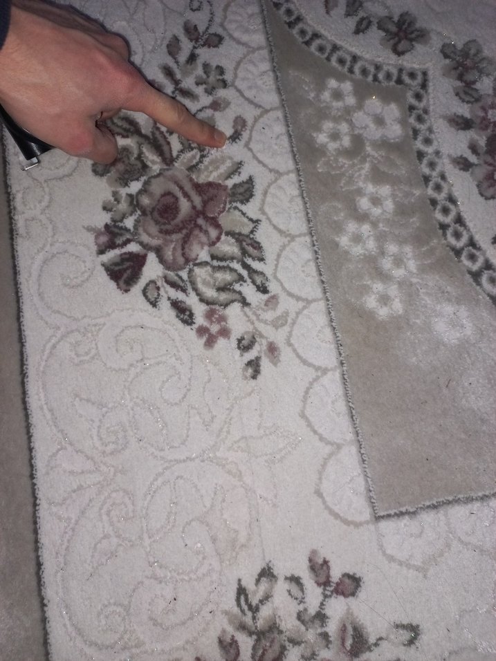 Efsane Glorya Halı 150x233 cm, Renk 066 - Görsel 3