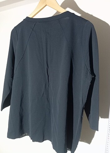 Bogner Bluzz