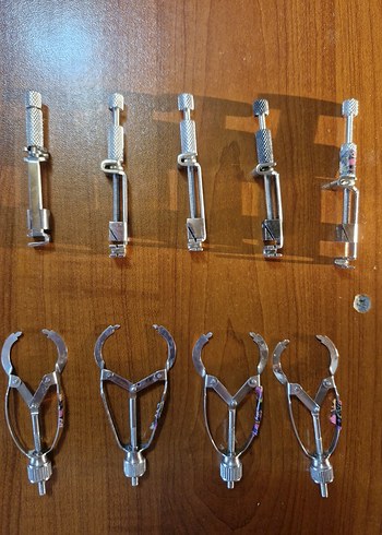 Yengeç Matriks ve Düz Matriks (Diş Hekimliği)