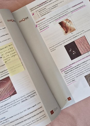 Dustime InfoDUS Seti - Görsel 7