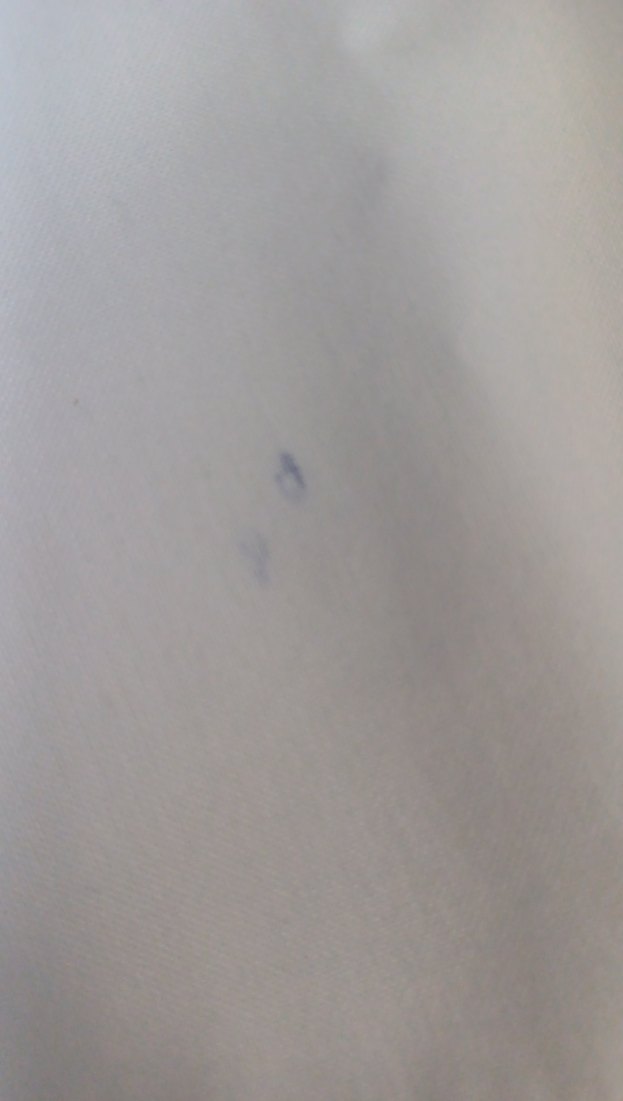 Beyaz Renk Kadın Scrubs - Görsel 4