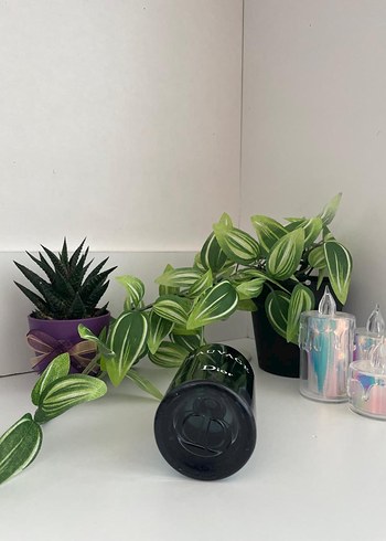 Dior Sauvage Erkek Parfümü Siyah 60ml ORJİNAL - Görsel 3