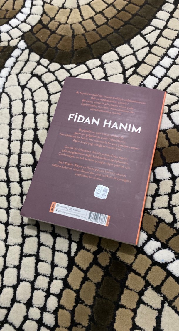 Fidan Hanım - Sinan Akyüz - Görsel 2