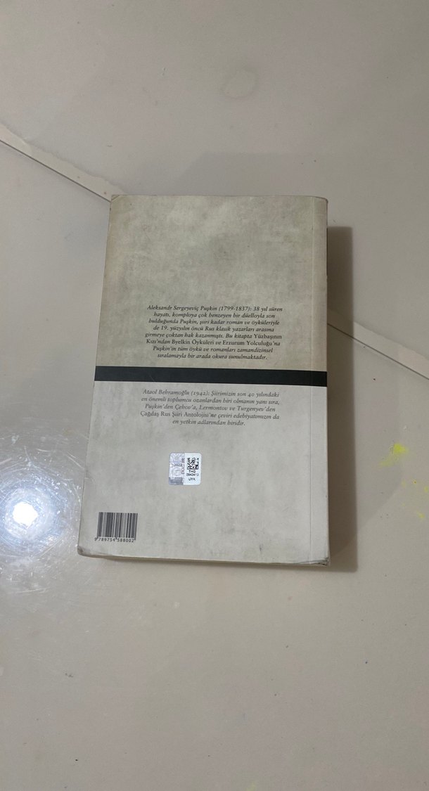 Yüzbaşının Kızı - Aleksandr Puşkin - Görsel 2