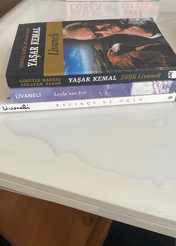 Zülfü Livaneli ve Yaşar Kemal Roman Seti