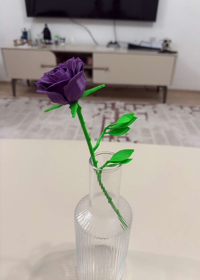 Anneler gününe özel mor gül - Görsel 3