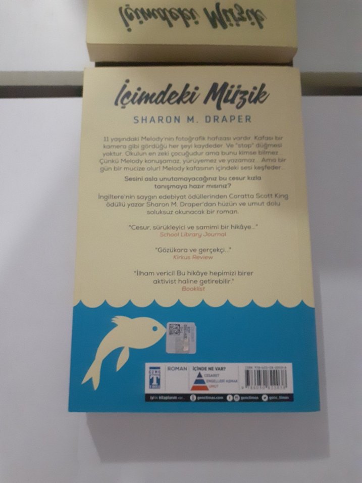 İçimdeki Müzik - Sharon M. Draper - Görsel 2