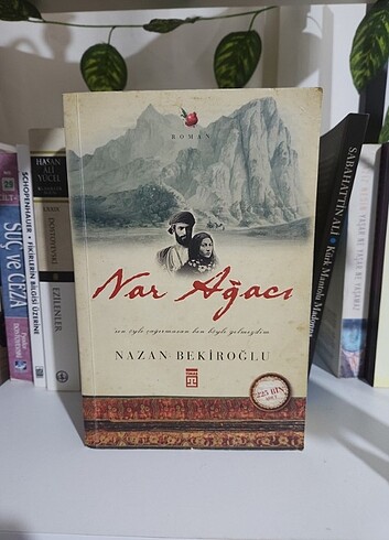 Nar Ağacı