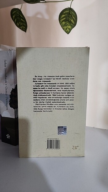 Dişi Kurdun Rüyaları - Görsel 2