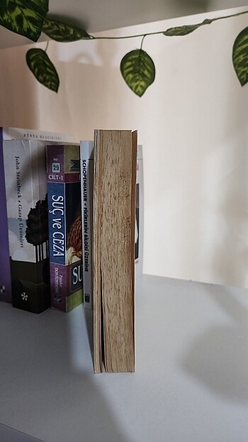 Dişi Kurdun Rüyaları - Görsel 3