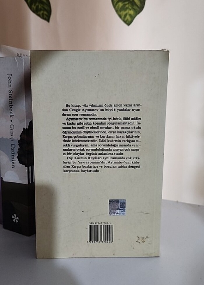 Dişi Kurdun Rüyaları - Görsel 2