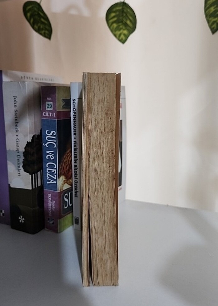 Dişi Kurdun Rüyaları - Görsel 3