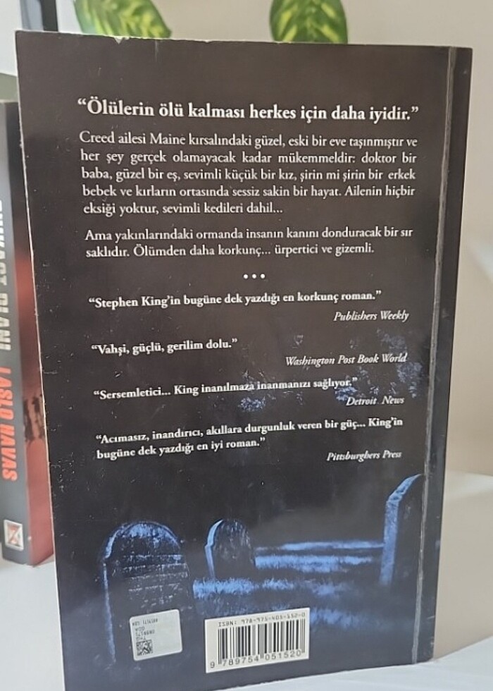 Stephen King Hayvan Mezarlığı - Görsel 2