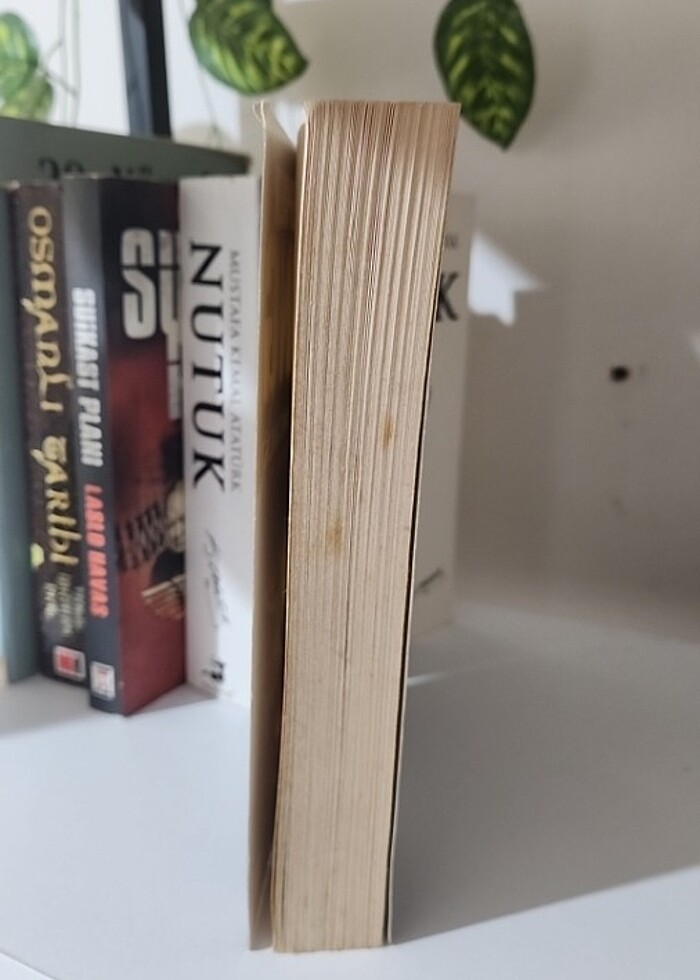 Stephen King Hayvan Mezarlığı - Görsel 3