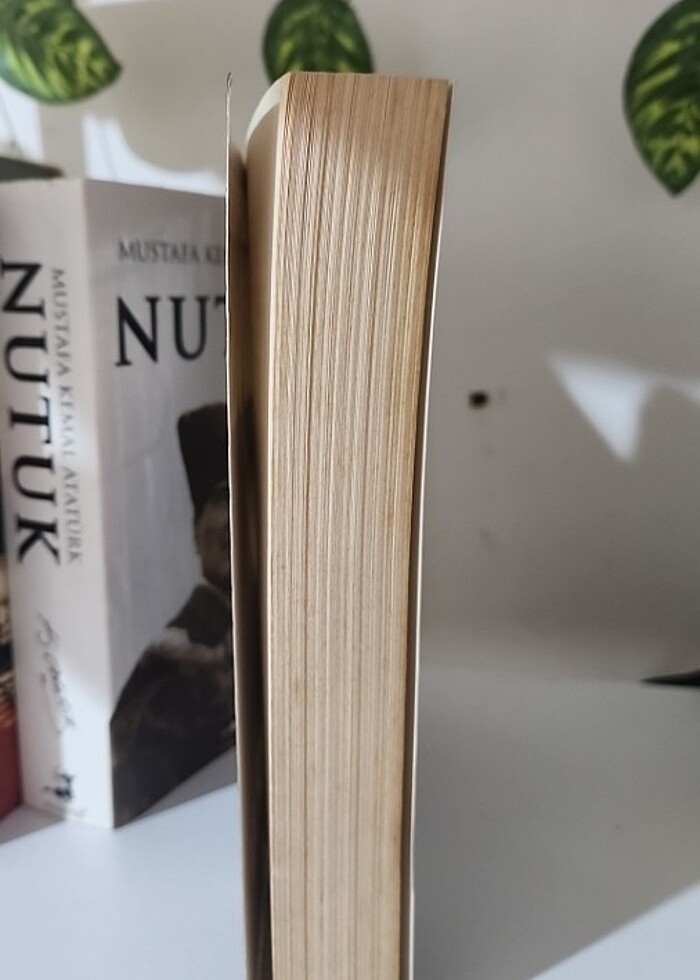 Stephen King Medyum - Görsel 3