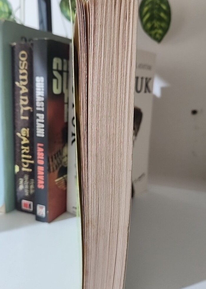 Konuşarak İkna Psikolojisi - Görsel 2