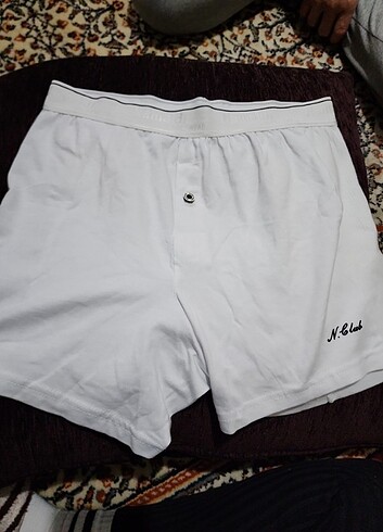 Boxer