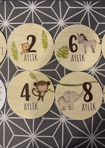 Ahşap Bebek Dönüm Noktası Kartları (Ay ay) - Görsel 3