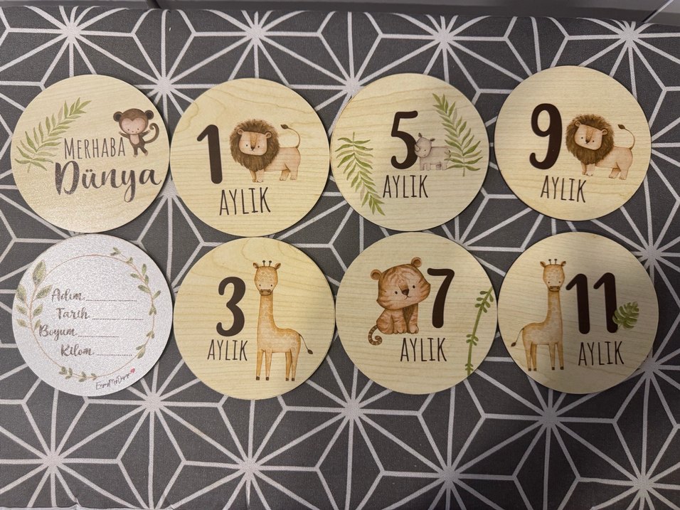 Ahşap Bebek Dönüm Noktası Kartları (Ay ay) - Görsel 2