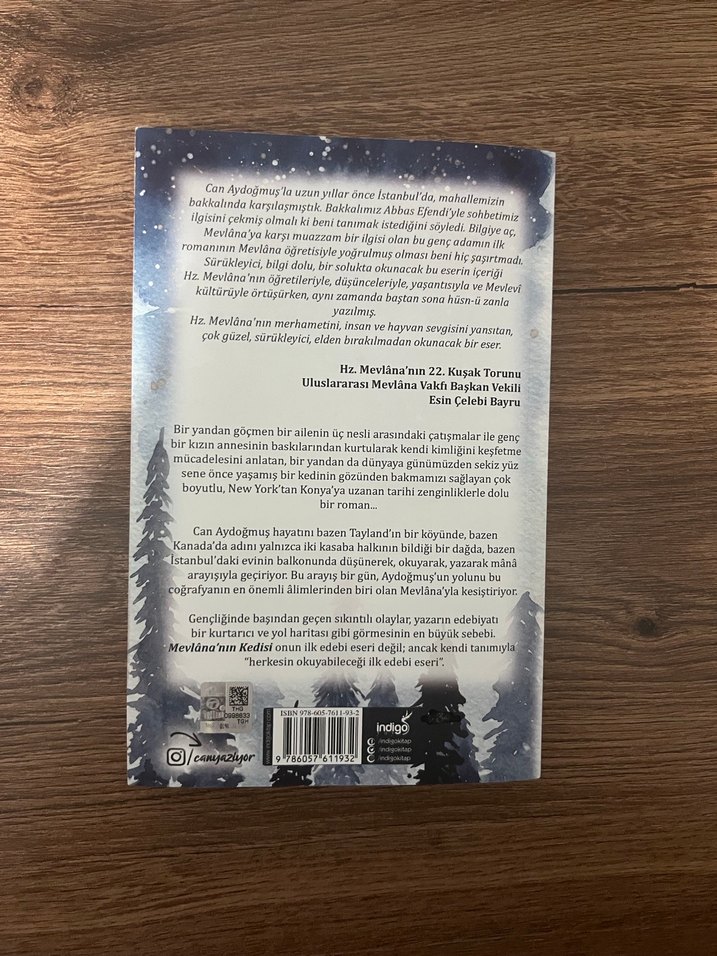 Mevlâna'nın Kedisi - Can Aydoğmuş - Görsel 2